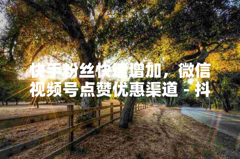 快手粉丝快速增加，微信视频号点赞优惠渠道 - 抖音直播人气提升服务 - 在线自助充值系统全新体验