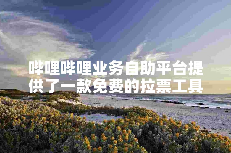 哔哩哔哩业务自助平台提供了一款免费的拉票工具，助力用户轻松提升投票活动的影响力。