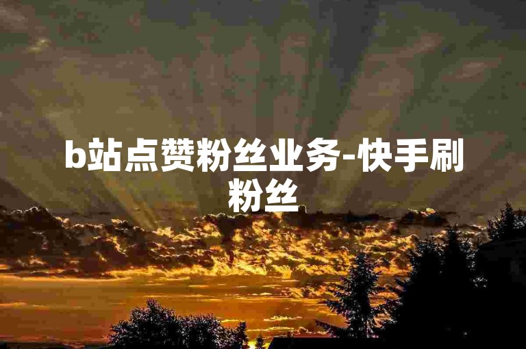 b站点赞粉丝业务-快手刷粉丝