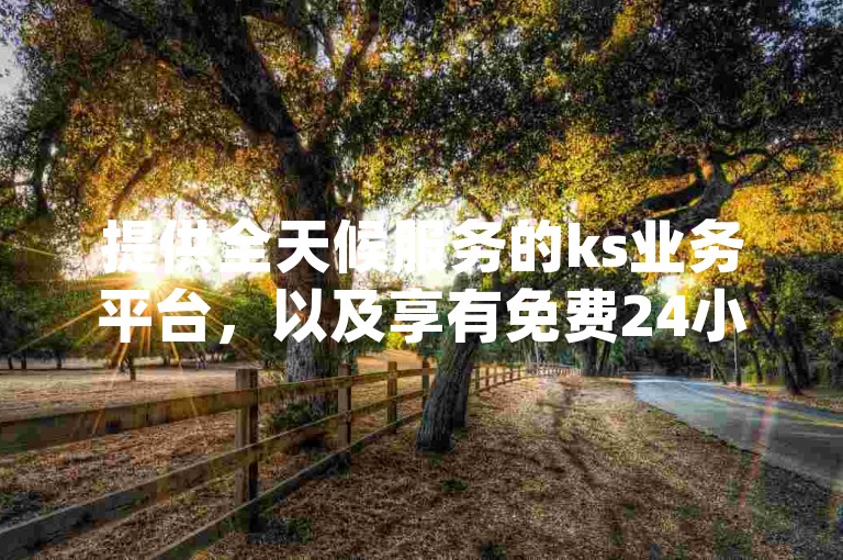 提供全天候服务的ks业务平台，以及享有免费24小时下单服务的dy平台，均以低价策略吸引客户。