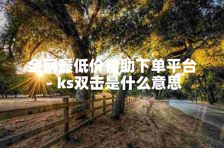 全网最低价自助下单平台 - ks双击是什么意思