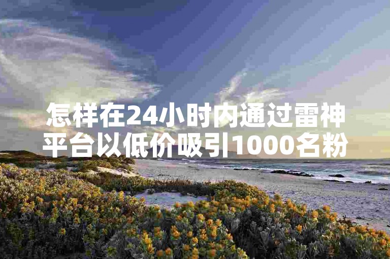 怎样在24小时内通过雷神平台以低价吸引1000名粉丝？