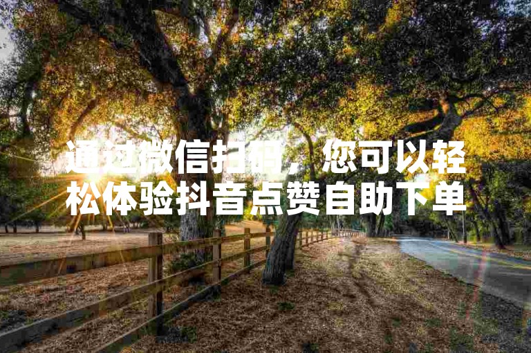 通过微信扫码，您可以轻松体验抖音点赞自助下单的便捷服务。