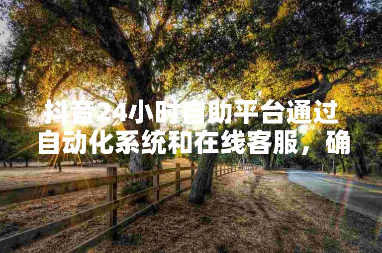 抖音24小时自助平台通过自动化系统和在线客服，确保用户能够随时获得服务和支持。