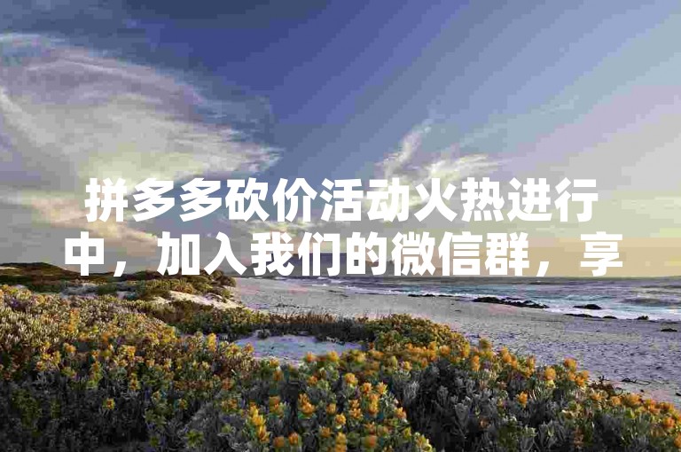 拼多多砍价活动火热进行中，加入我们的微信群，享受免费助力！