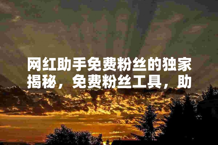 网红助手免费粉丝的独家揭秘，免费粉丝工具，助力网红圈新时代！2025必学。