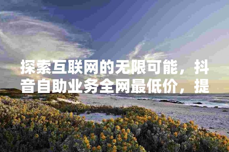 探索互联网的无限可能，抖音自助业务全网最低价，提供超低价ks业务自助下单网站及网红dy助手自助下单平台，让你轻松成为网络焦点。