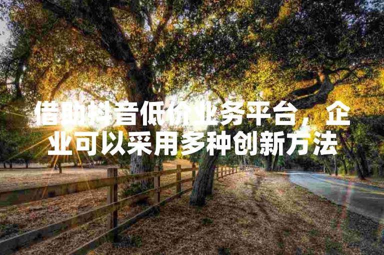 借助抖音低价业务平台，企业可以采用多种创新方法来提高其曝光率，从而吸引更多潜在客户。