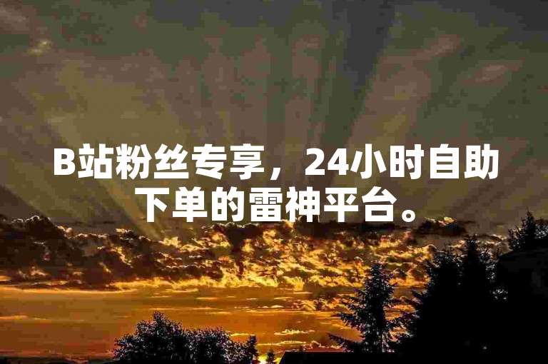 B站粉丝专享，24小时自助下单的雷神平台。
