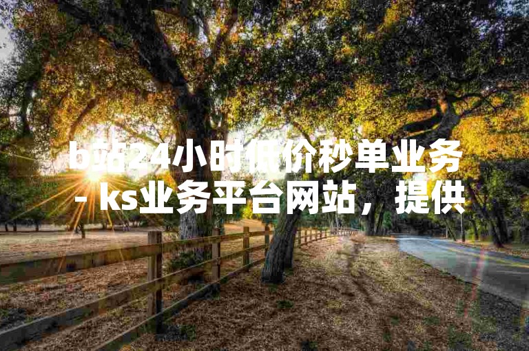 b站24小时低价秒单业务 - ks业务平台网站，提供快速、便捷的服务。