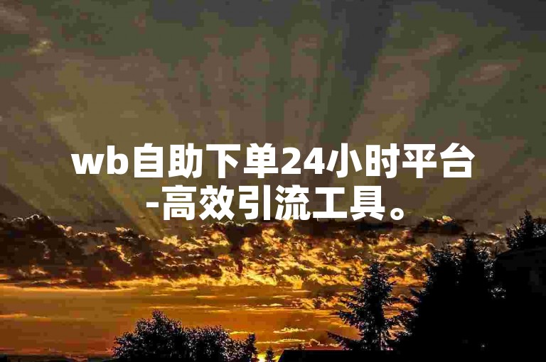wb自助下单24小时平台-高效引流工具。