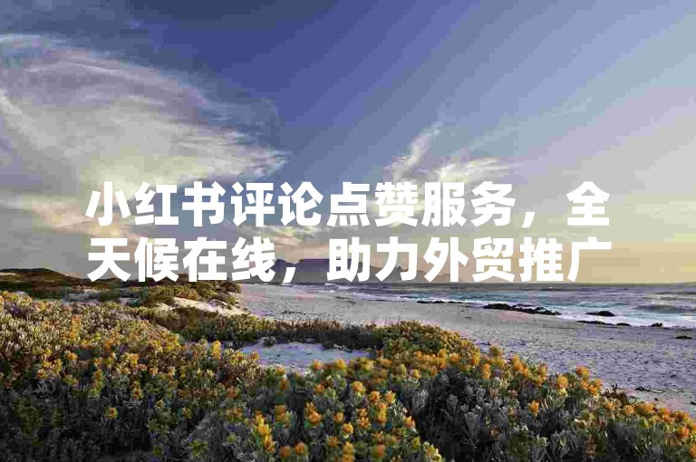 小红书评论点赞服务，全天候在线，助力外贸推广加速。