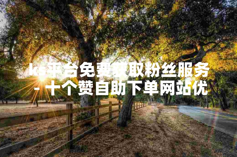ks平台免费获取粉丝服务 - 十个赞自助下单网站优惠
