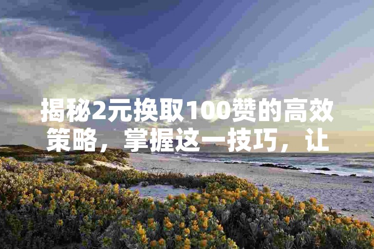 揭秘2元换取100赞的高效策略，掌握这一技巧，让你在2025年轻松获得大量点赞！