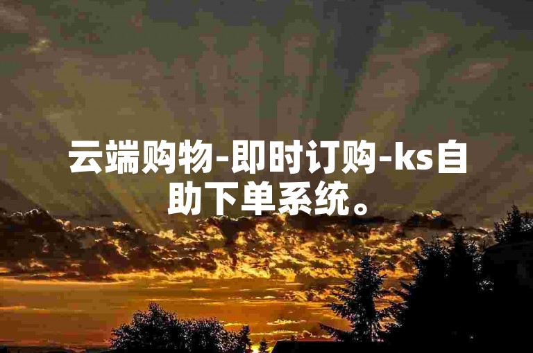 云端购物-即时订购-ks自助下单系统。