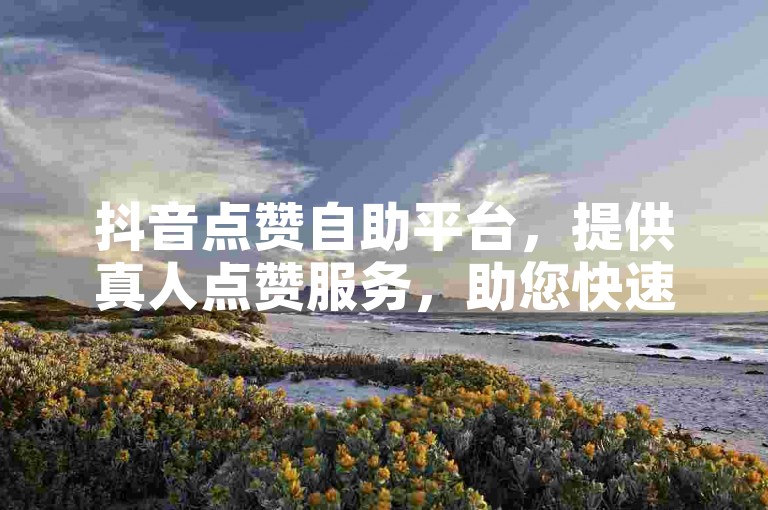 抖音点赞自助平台，提供真人点赞服务，助您快速提升视频热度。