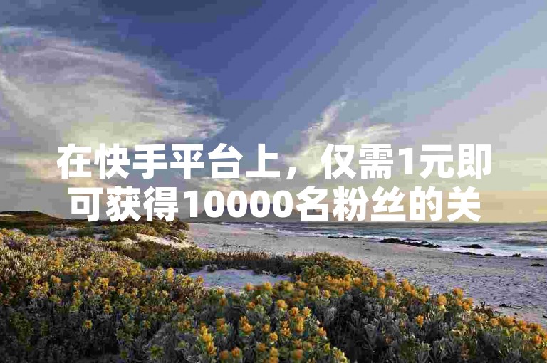 在快手平台上，仅需1元即可获得10000名粉丝的关注。