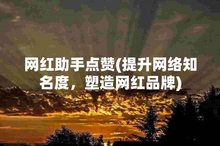 网红助手点赞(提升网络知名度，塑造网红品牌)