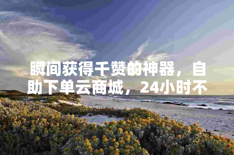 瞬间获得千赞的神器，自助下单云商城，24小时不间断服务。