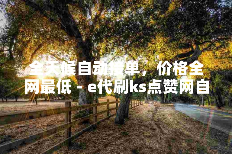 全天候自动接单，价格全网最低 - e代刷ks点赞网自助服务系统。