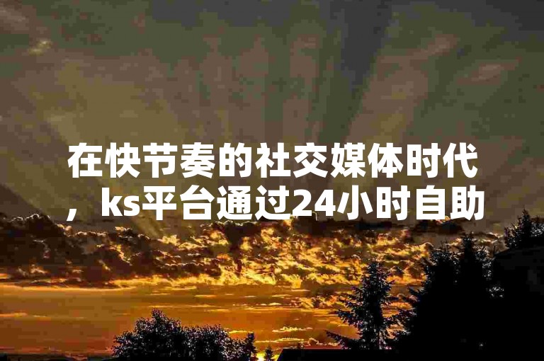 在快节奏的社交媒体时代，ks平台通过24小时自助服务和低价策略，迅速积累粉丝，展现了微利营销的魅力。