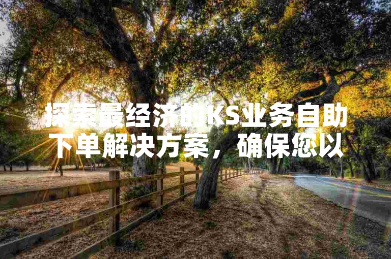 探索最经济的KS业务自助下单解决方案，确保您以最低成本获取高效服务。