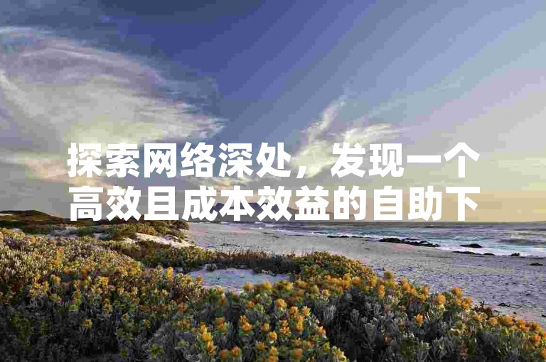 探索网络深处，发现一个高效且成本效益的自助下单系统，专为快手用户设计。