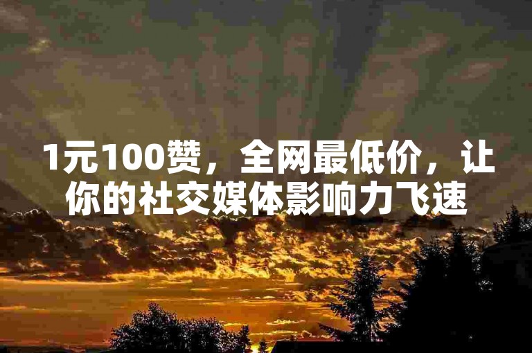 1元100赞，全网最低价，让你的社交媒体影响力飞速提升！