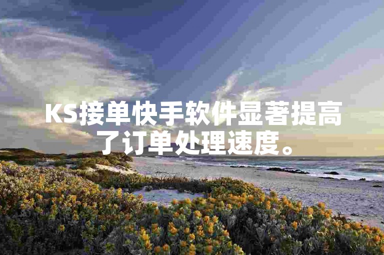 KS接单快手软件显著提高了订单处理速度。