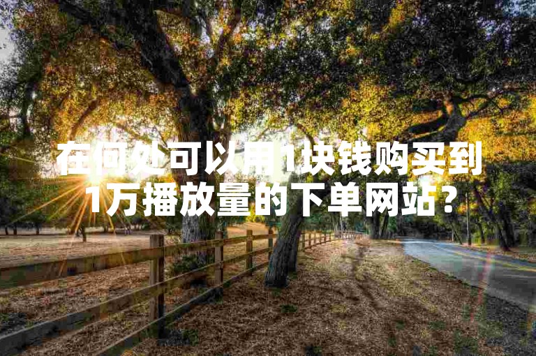 在何处可以用1块钱购买到1万播放量的下单网站？