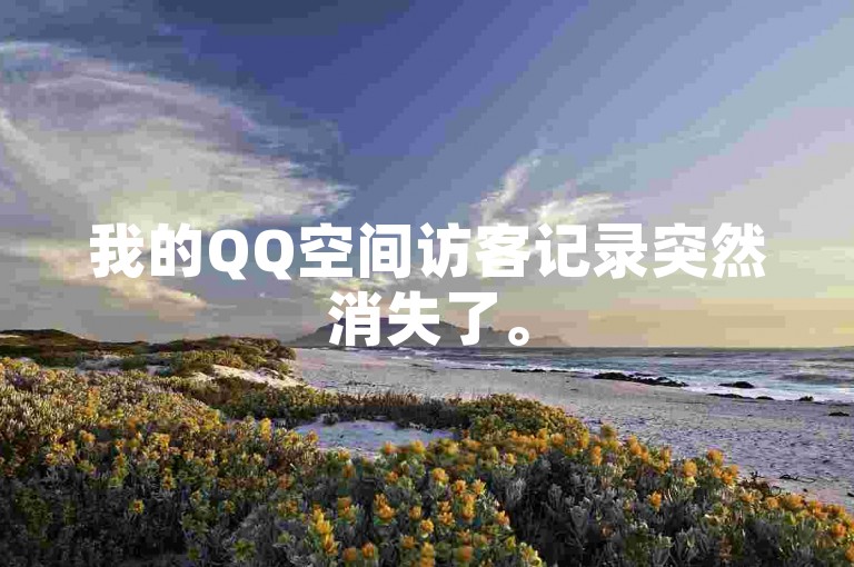 我的QQ空间访客记录突然消失了。