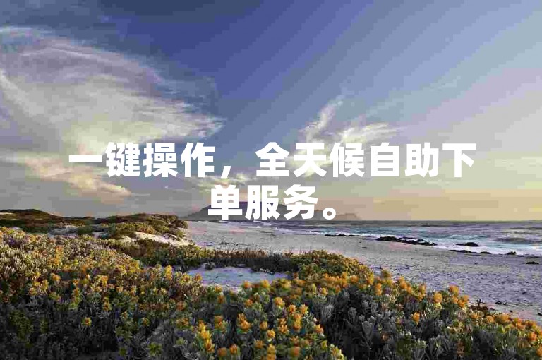 一键操作，全天候自助下单服务。