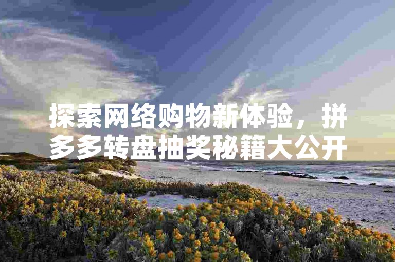 探索网络购物新体验，拼多多转盘抽奖秘籍大公开，轻松解决最后0.01难题，同时享受低价提升QQ空间人气的便捷服务。