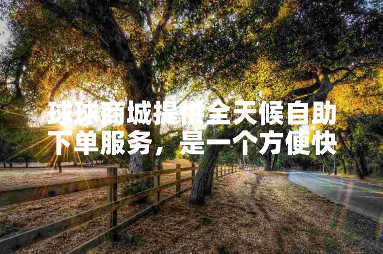 球球商城提供全天候自助下单服务，是一个方便快捷的在线购物平台。
