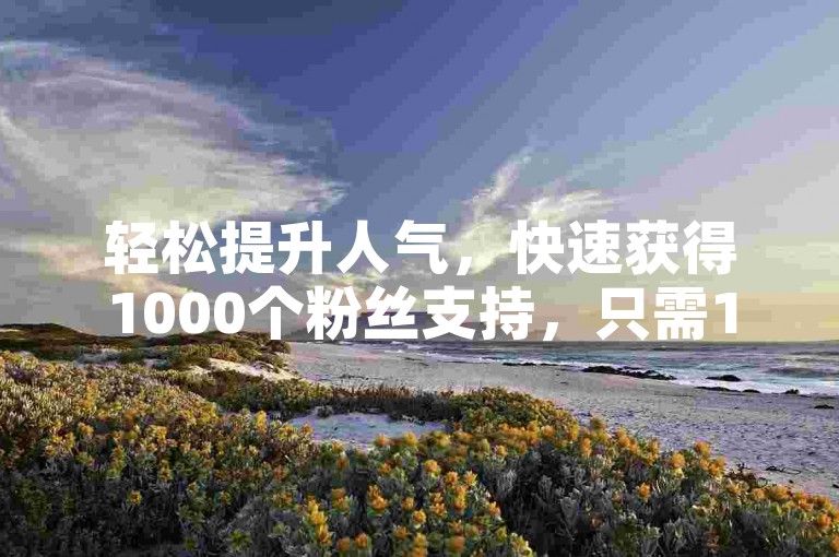 轻松提升人气，快速获得1000个粉丝支持，只需1元，全天候服务。