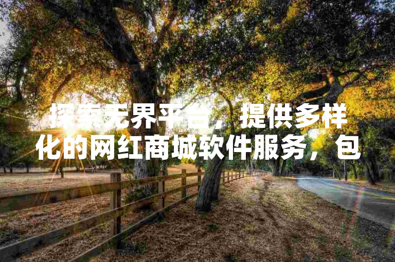 探索无界平台，提供多样化的网红商城软件服务，包括QQ空间点赞充值和全民K歌机器粉下单。