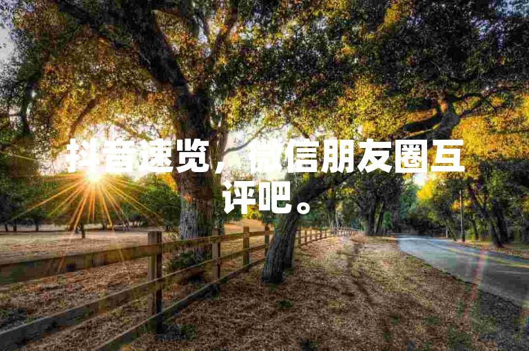 抖音速览，微信朋友圈互评吧。