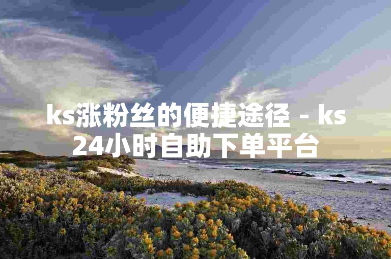 ks涨粉丝的便捷途径 - ks24小时自助下单平台