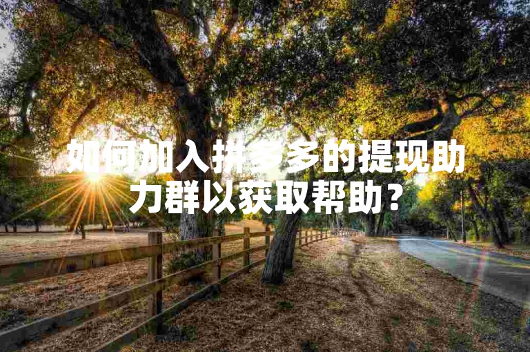 如何加入拼多多的提现助力群以获取帮助？