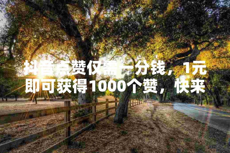 抖音点赞仅需一分钱，1元即可获得1000个赞，快来卡盟自助平台体验24小时不间断服务吧！