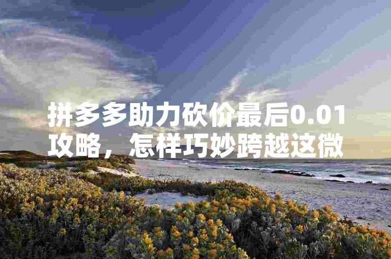 拼多多助力砍价最后0.01攻略，怎样巧妙跨越这微小的障碍？
