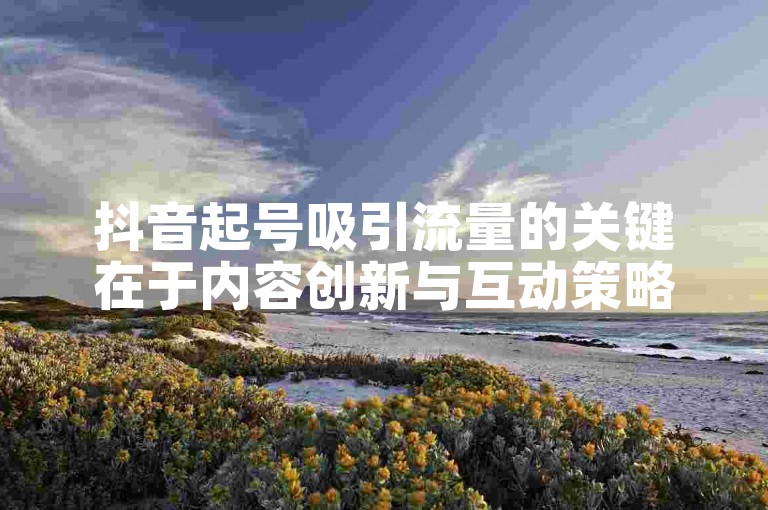 抖音起号吸引流量的关键在于内容创新与互动策略的有效结合。