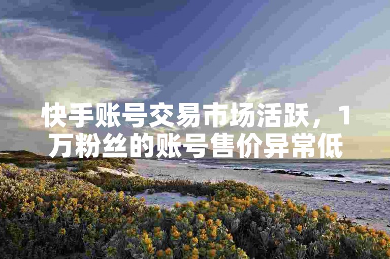 快手账号交易市场活跃，1万粉丝的账号售价异常低廉。