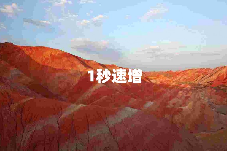 1秒速增500粉丝 - 快手点赞服务超值优惠