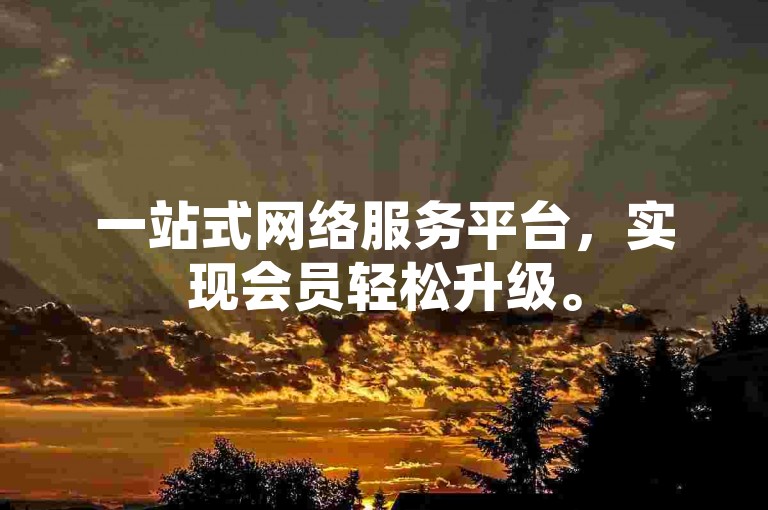 一站式网络服务平台，实现会员轻松升级。