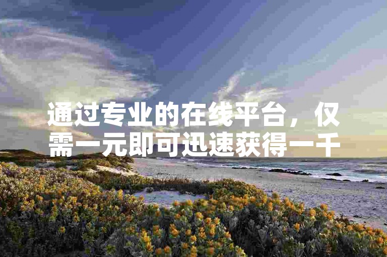 通过专业的在线平台，仅需一元即可迅速获得一千名粉丝的关注。
