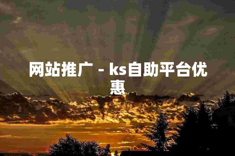 网站推广 - ks自助平台优惠