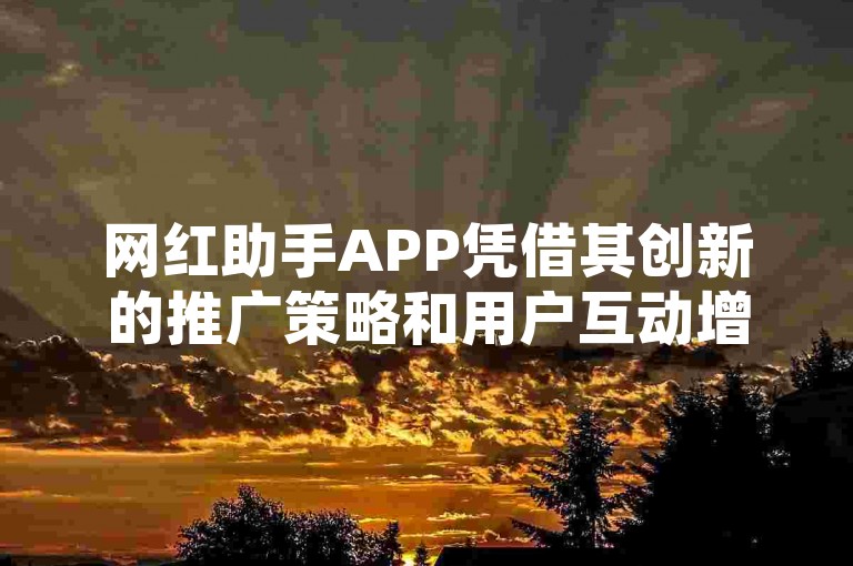 网红助手APP凭借其创新的推广策略和用户互动增强功能，在社交媒体上引发了广泛关注，有效助力网红快速积累粉丝基础并提升个人品牌曝光度。