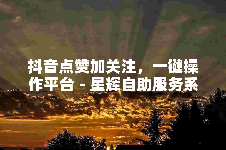 抖音点赞加关注，一键操作平台 - 星辉自助服务系统全天候开放。
