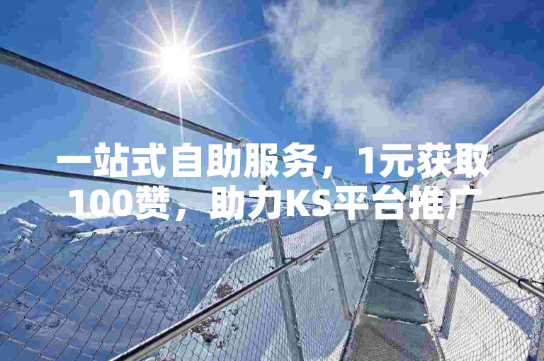 一站式自助服务，1元获取100赞，助力KS平台推广。